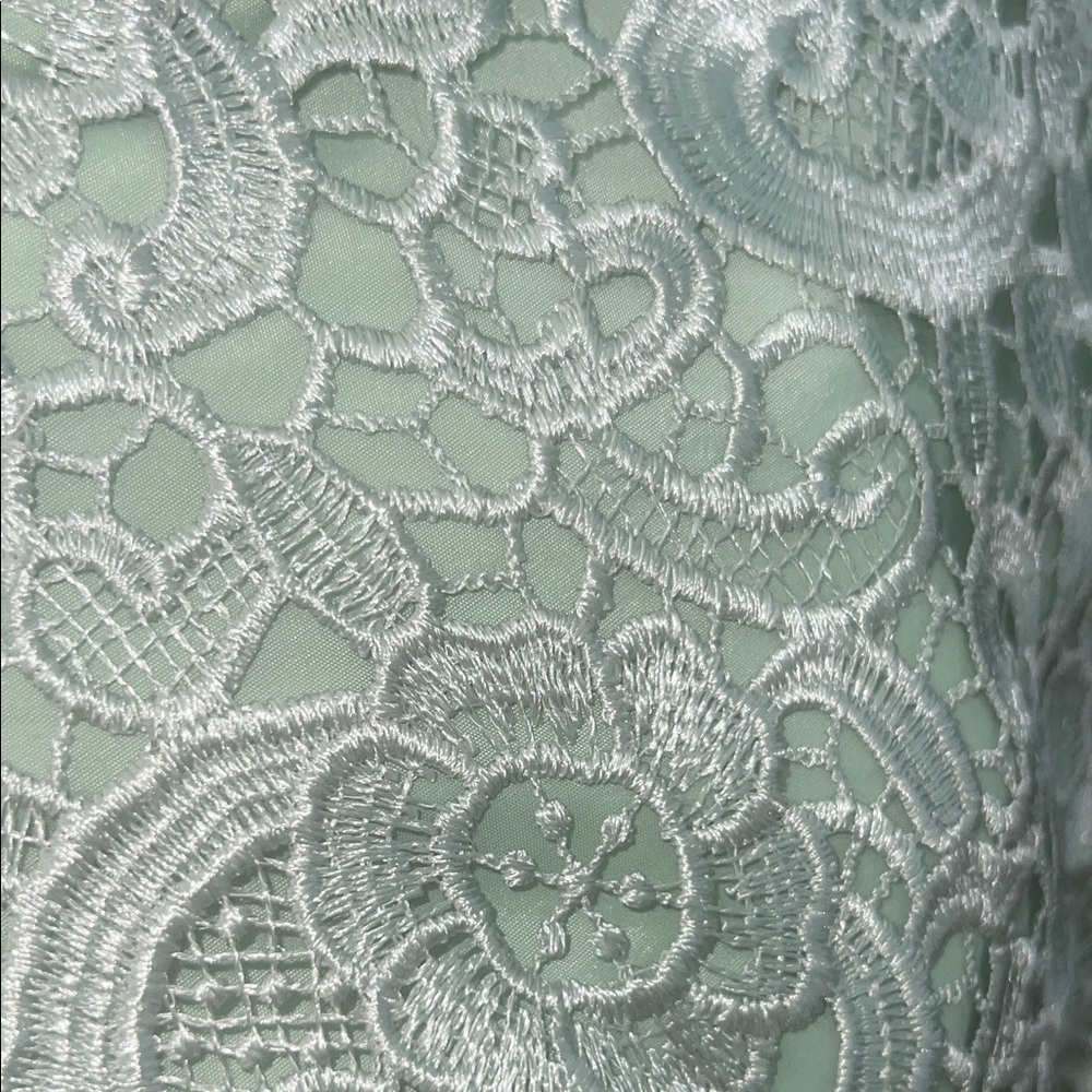 Aidan Mattox Mint Lace Mini Dress - Picture 8 of 8
